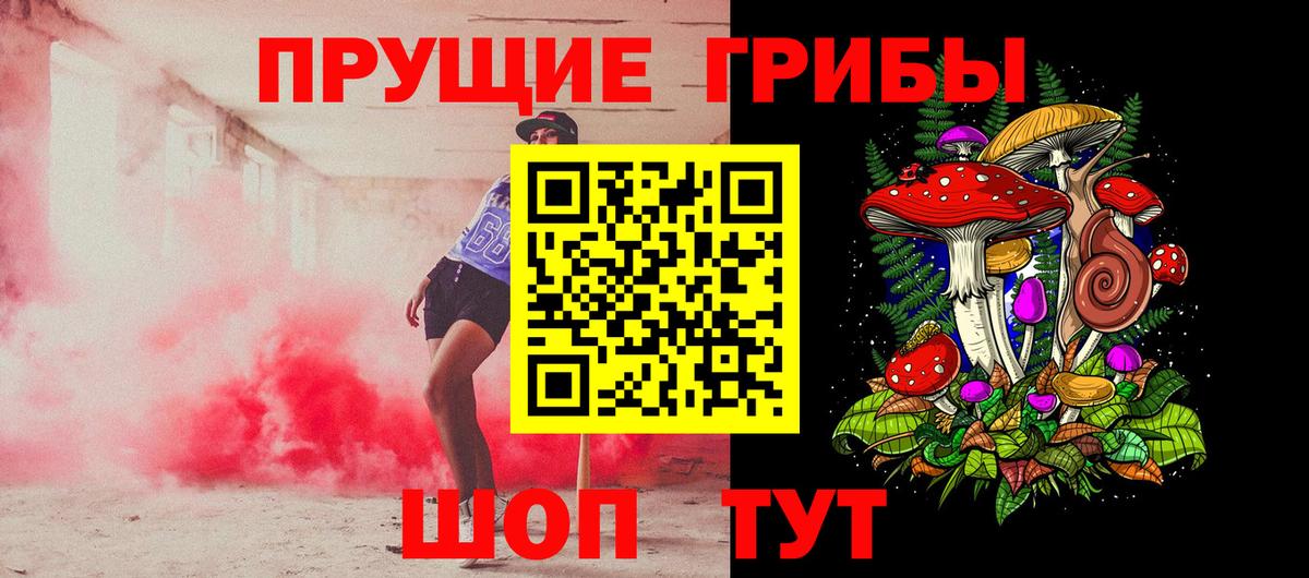 Сургут  Псилоцибиновые грибы мухоморы  Псилоцибиновые грибы GOLDEN TEACHER  Вход с VPN 