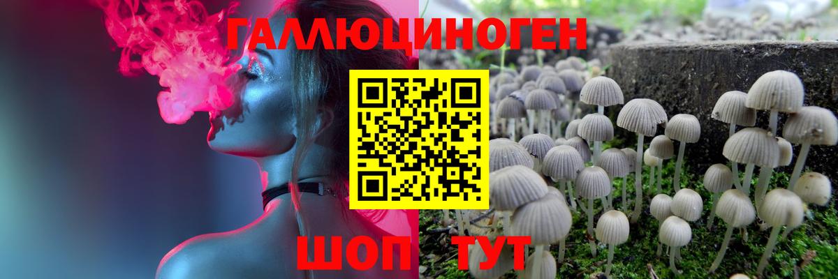 Псилоцибиновые грибы Cubensis Сургут