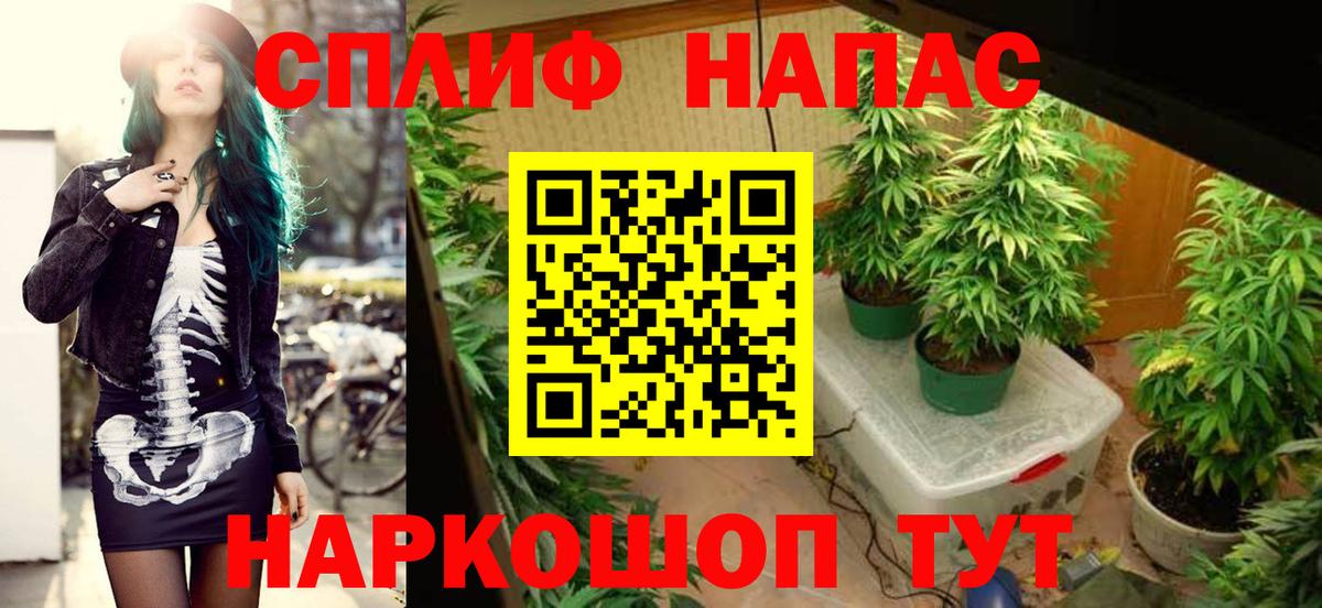 Бошки Шишки семена  Бошки Шишки White Widow  Вход с VPN  Конопля сатива  Марихуана ГИДРОПОН  Сургут 